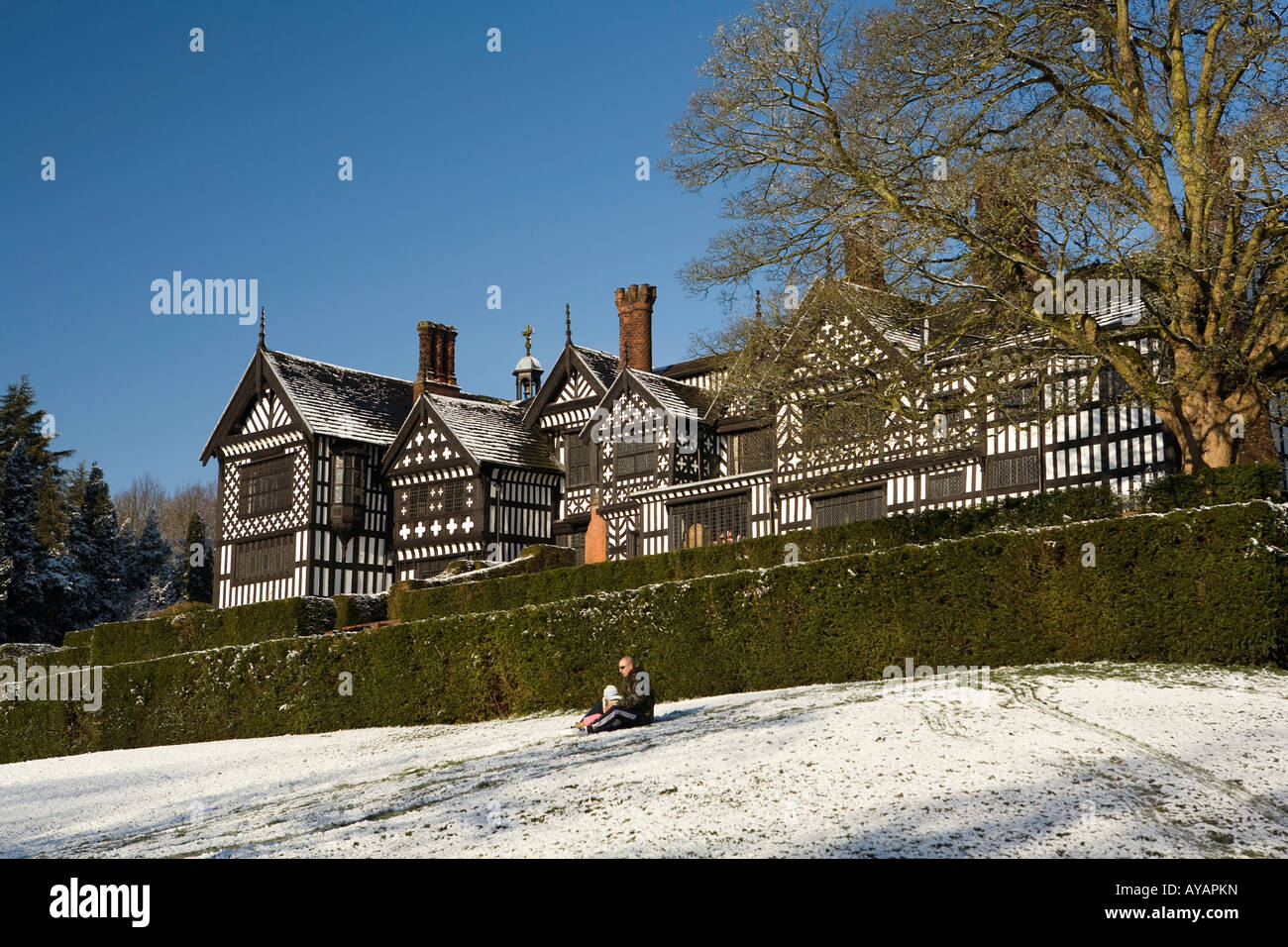 UK Cheshire Stockport Bramhall Park Bramall Hall im Winter-Vater und Tochter nach Sturz Schnee Rodeln Stockfoto