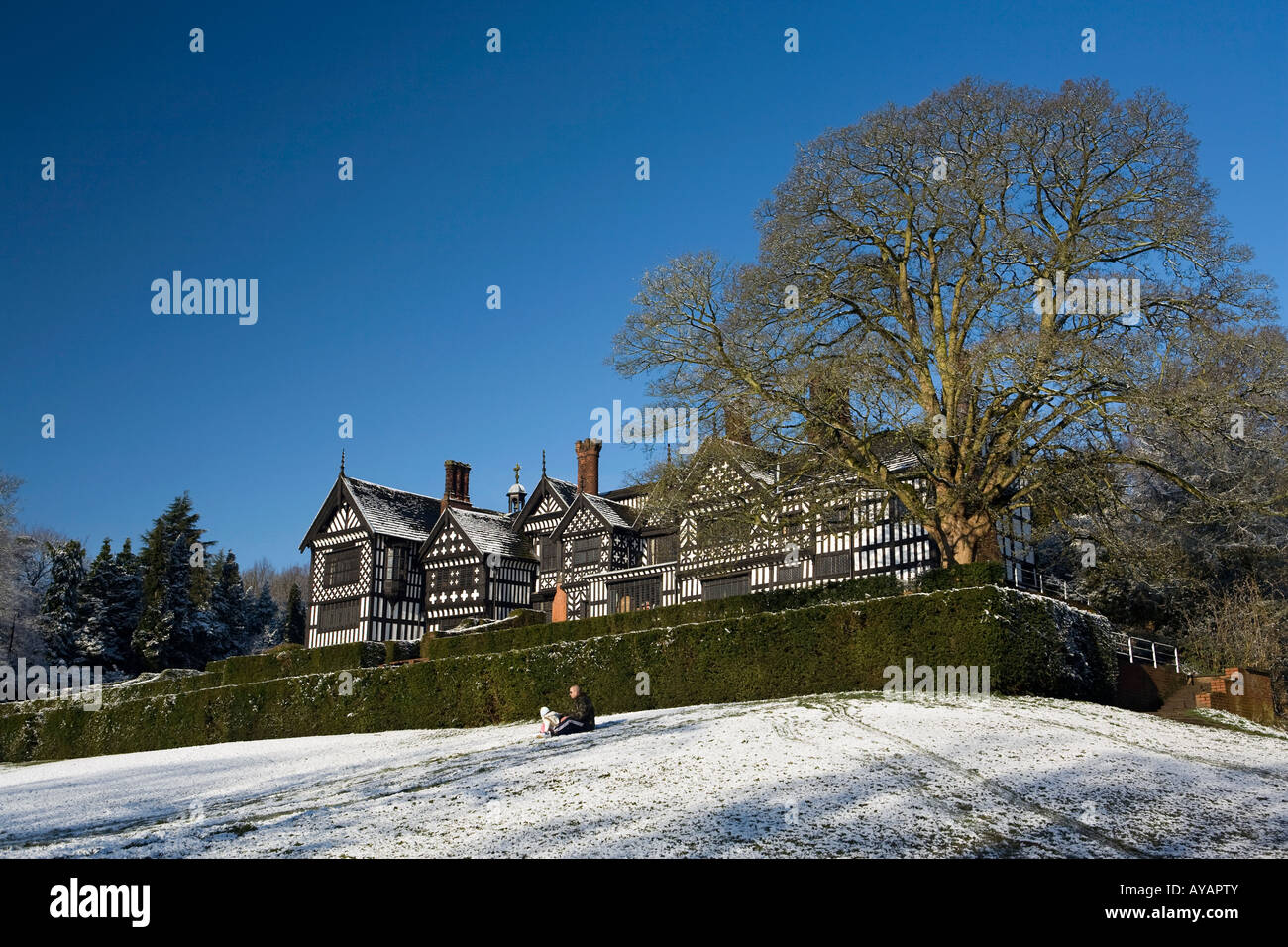 UK Cheshire Stockport Bramhall Park Bramall Hall im Winter-Vater und Tochter nach Sturz Schnee Rodeln Stockfoto