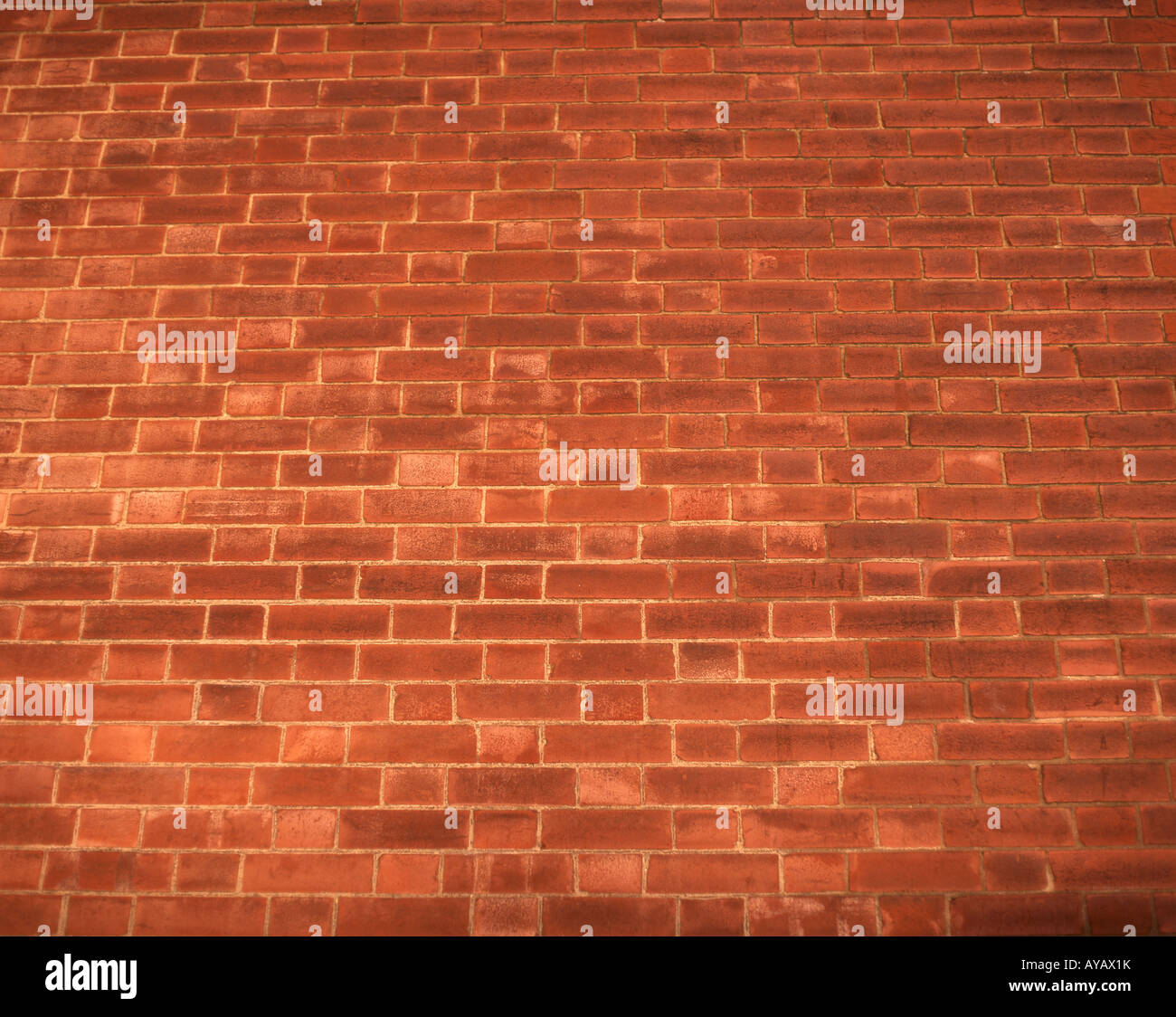 Backsteinmauer bei Sonnenuntergang, Berkshire, England, Vereinigtes Königreich Stockfoto