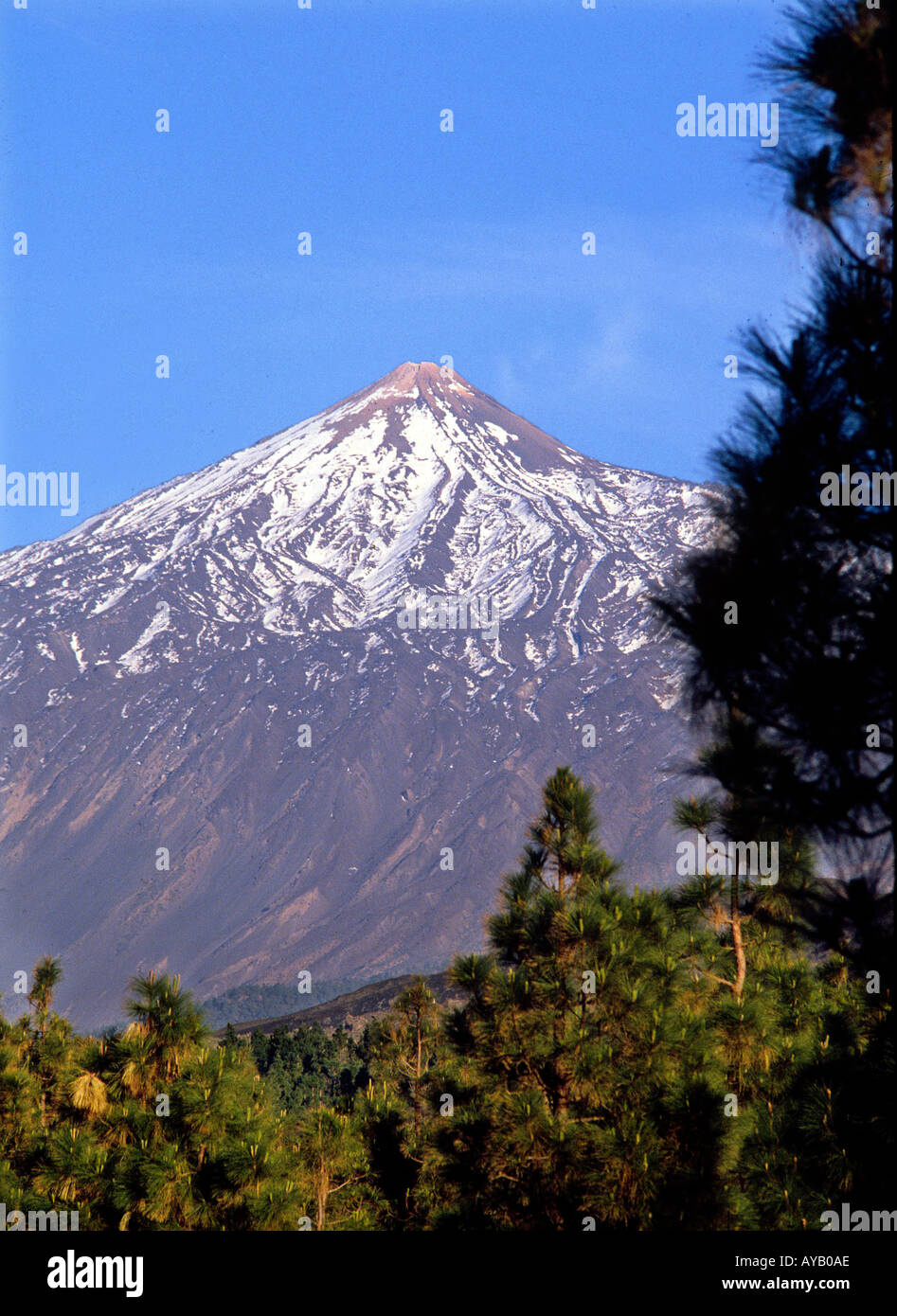 Mount Tiede Teneriffa Stockfoto