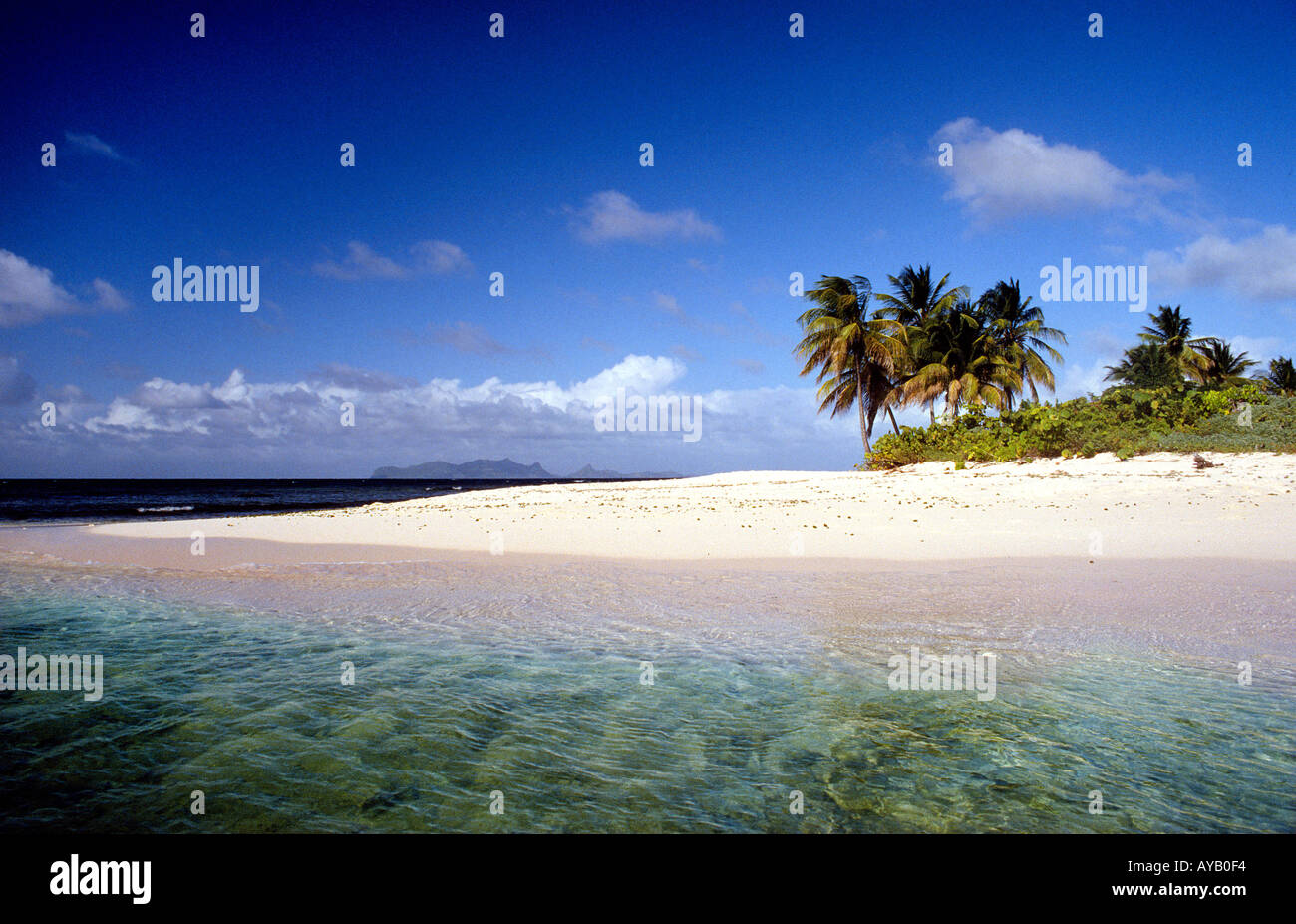 Karibik-Strand in den Grenadinen Stockfoto