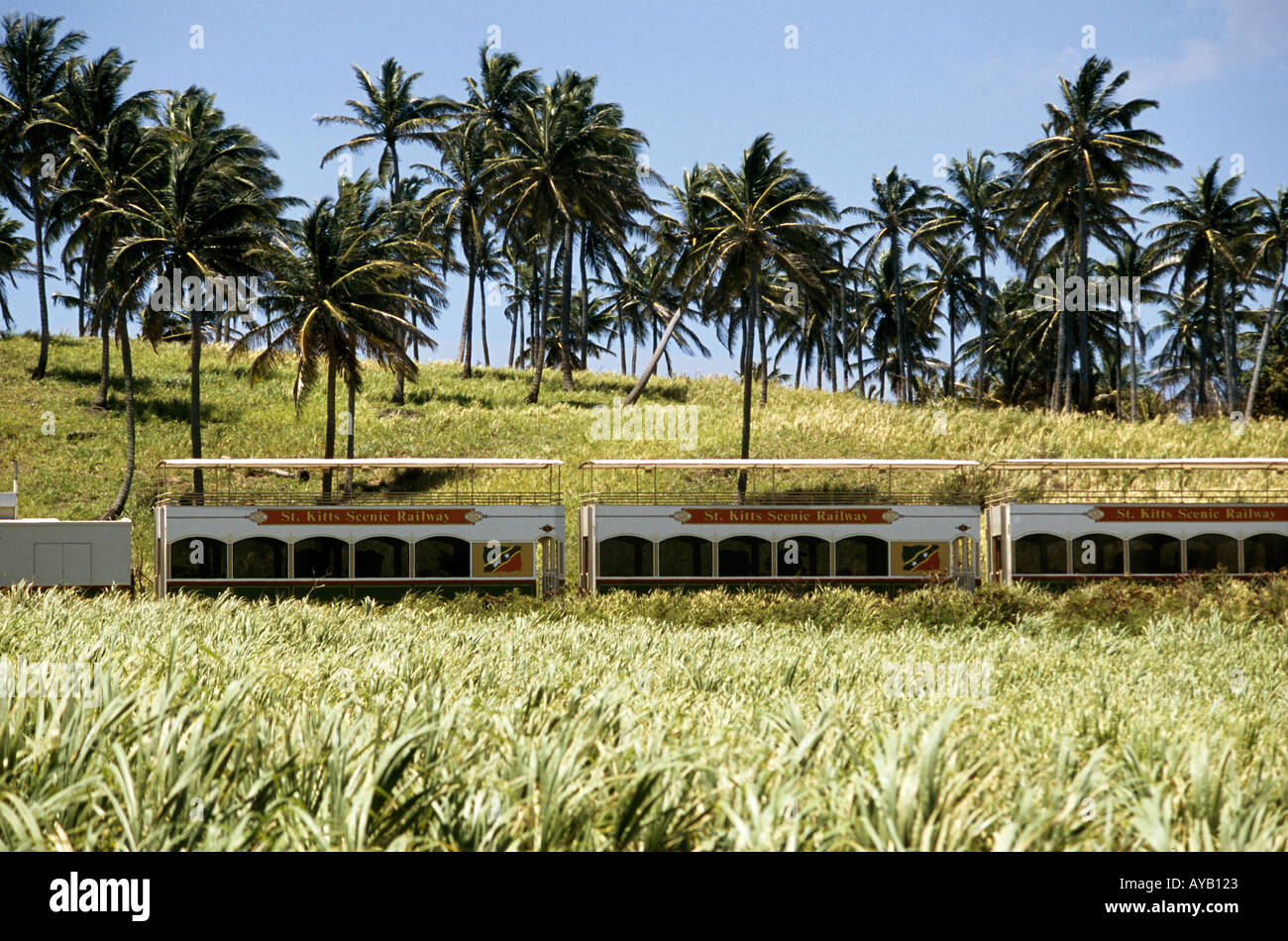 Saint Kitts Scenic Railway, die Besucher auf eine Reise durch die alte Zuckerrohrplantagen Stockfoto