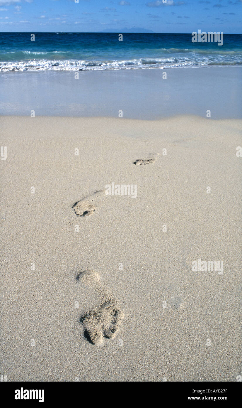 Spuren im sand Stockfoto