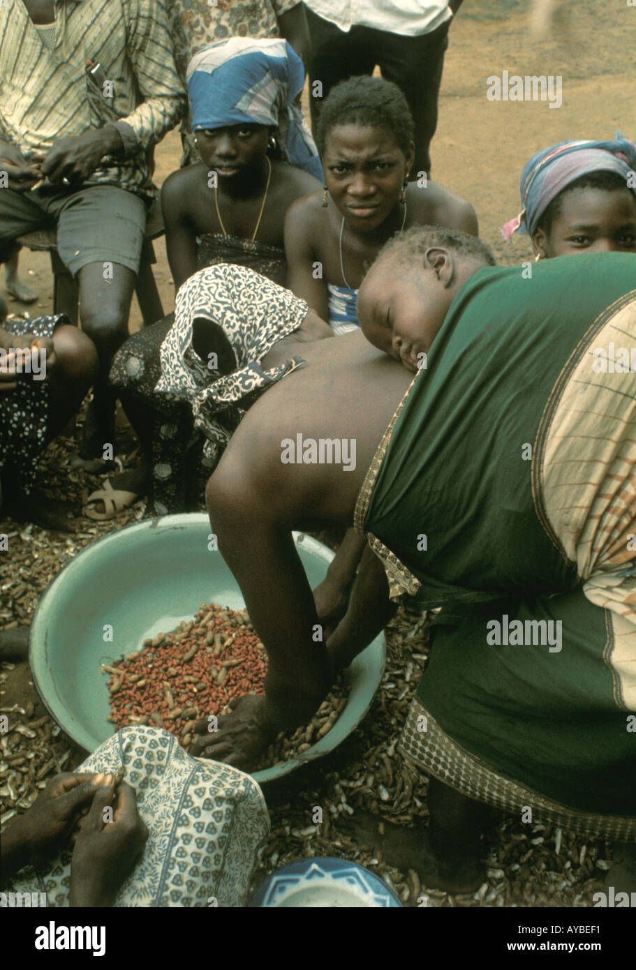 Westafrika, Liberia. Gruppe von Dorfbewohnern der ethnischen Gruppe Kpelle, die Erdnüsse beschießen. Die Frau trägt das Baby auf dem Rücken. Stockfoto