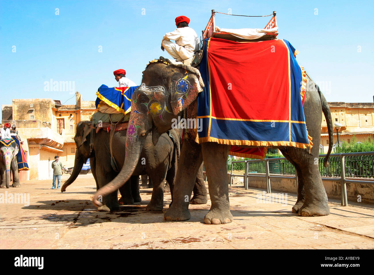 Elefanten bei der Amber Fort in Jaipur, Rajasthan, Indien Stockfoto
