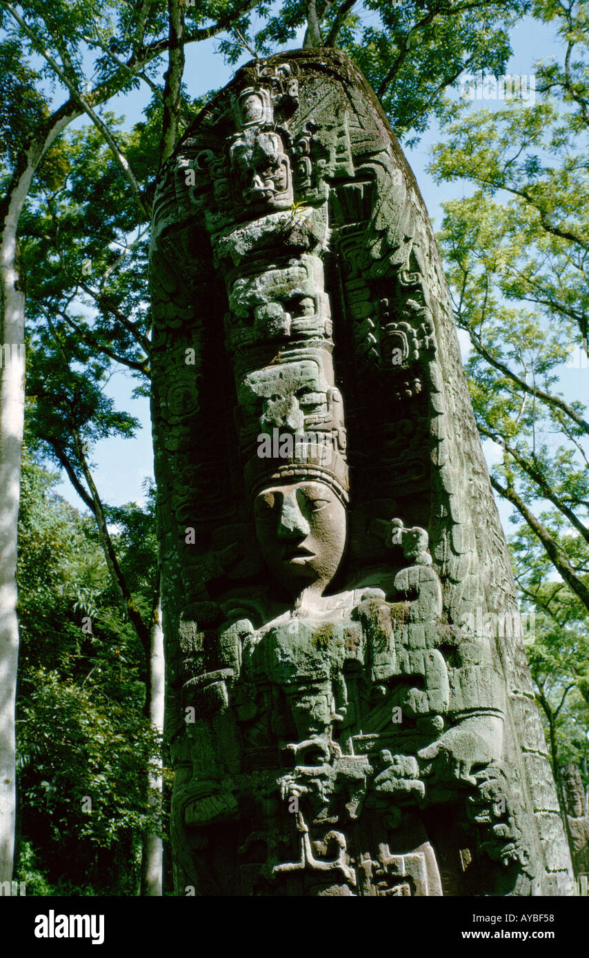 Maya Ruinen von Quirigua in Guatemala klassische Periode Stela D König Cauac Himmel Stockfoto