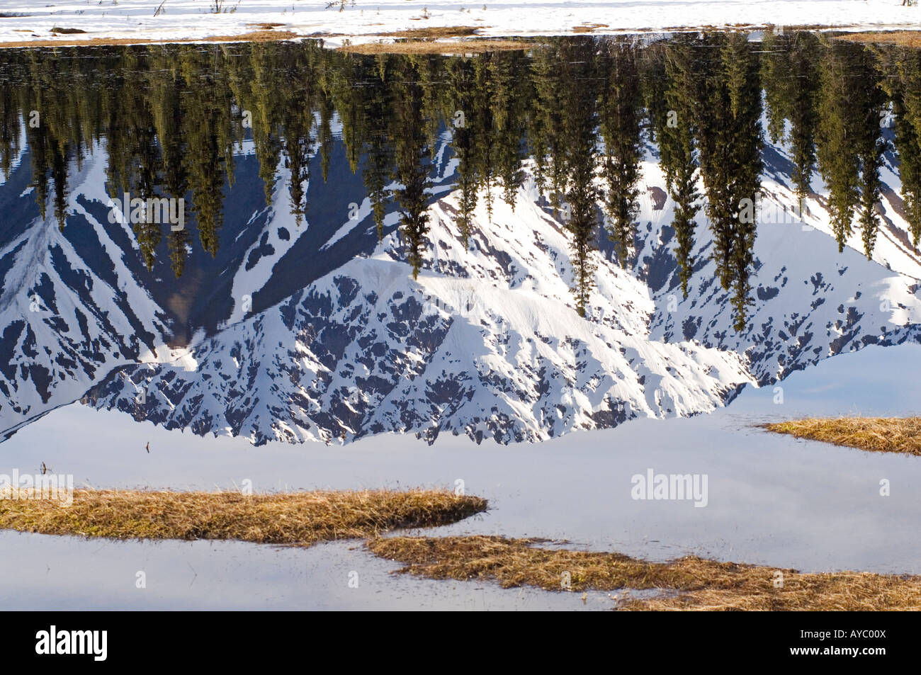 USA, Alaska. Berge der Alaska Range spiegelt sich in der noch Oberfläche eines Sees. Stockfoto