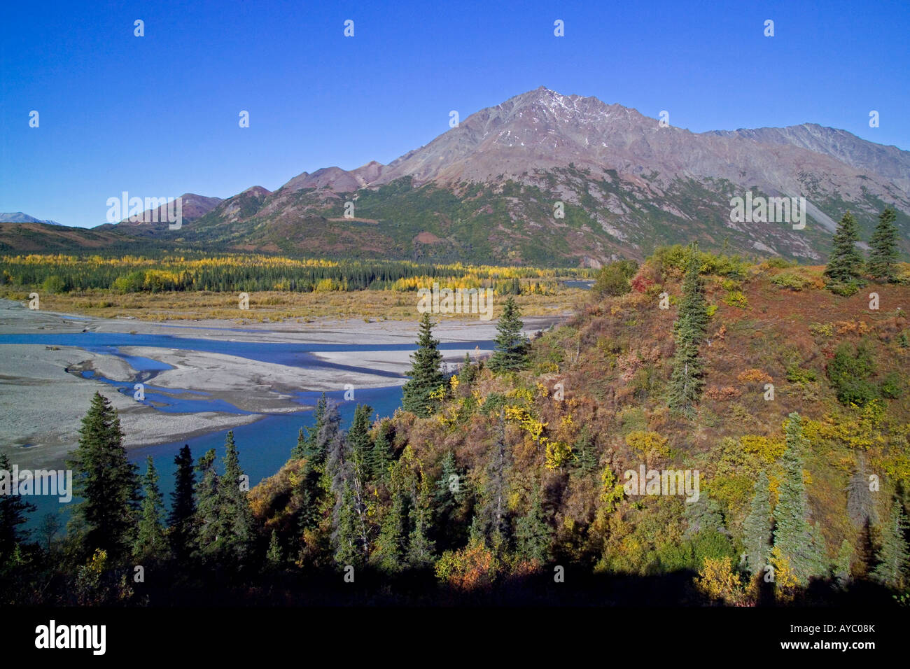 USA, Alaska. Herbstfarben lodern in der Tundra entlang der Nenana River. Stockfoto
