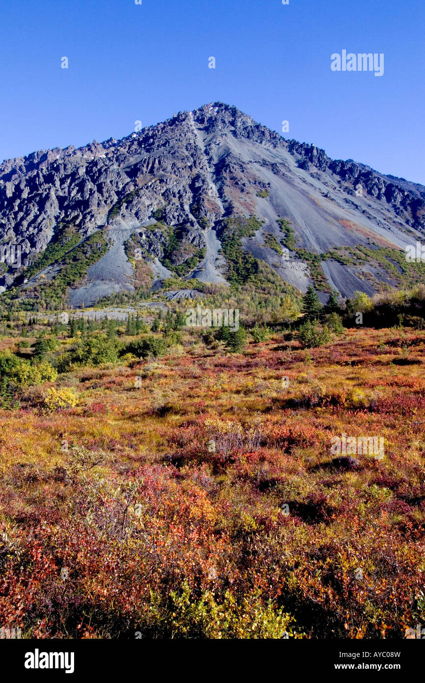 USA, Alaska. Herbstfarben lodern in der Tundra entlang der Nenana River. Panorama Mountain liegt zwischen Cantwell und Denali Park. Stockfoto
