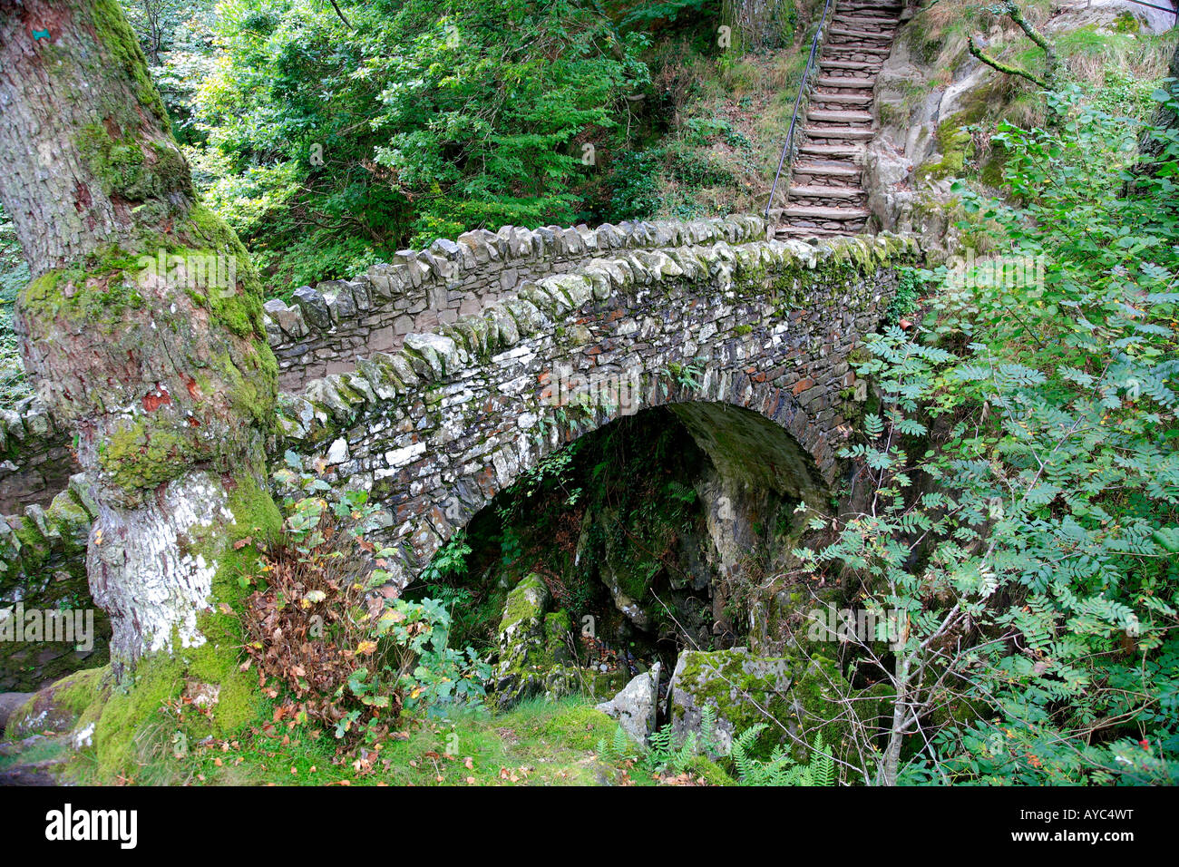 Lastesel Steinbrücke über Aira Force in der Nähe von Ullswater See Lake District Cumbria England Großbritannien UK Stockfoto