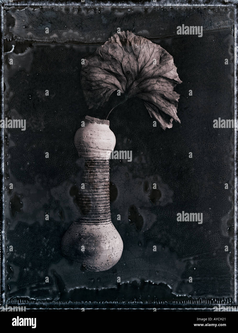 Eine zerbrochene Vase hält ein Blatt, das Bild mit einer Polaroid negativen gemacht wurde, das Alter überlassen wurde Stockfoto