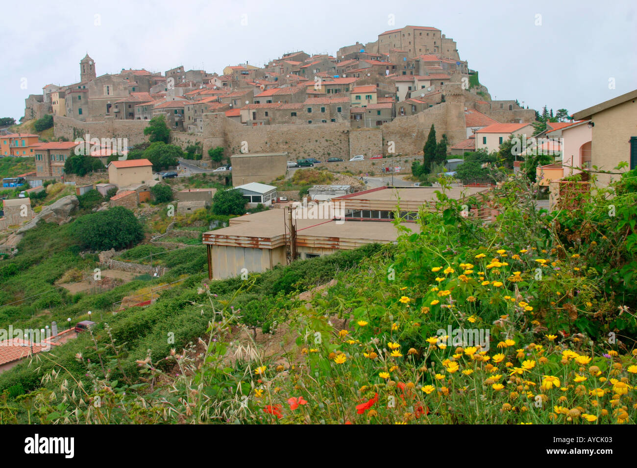 Das kleine Dorf Castello, Insel Giglio, Italien Stockfoto