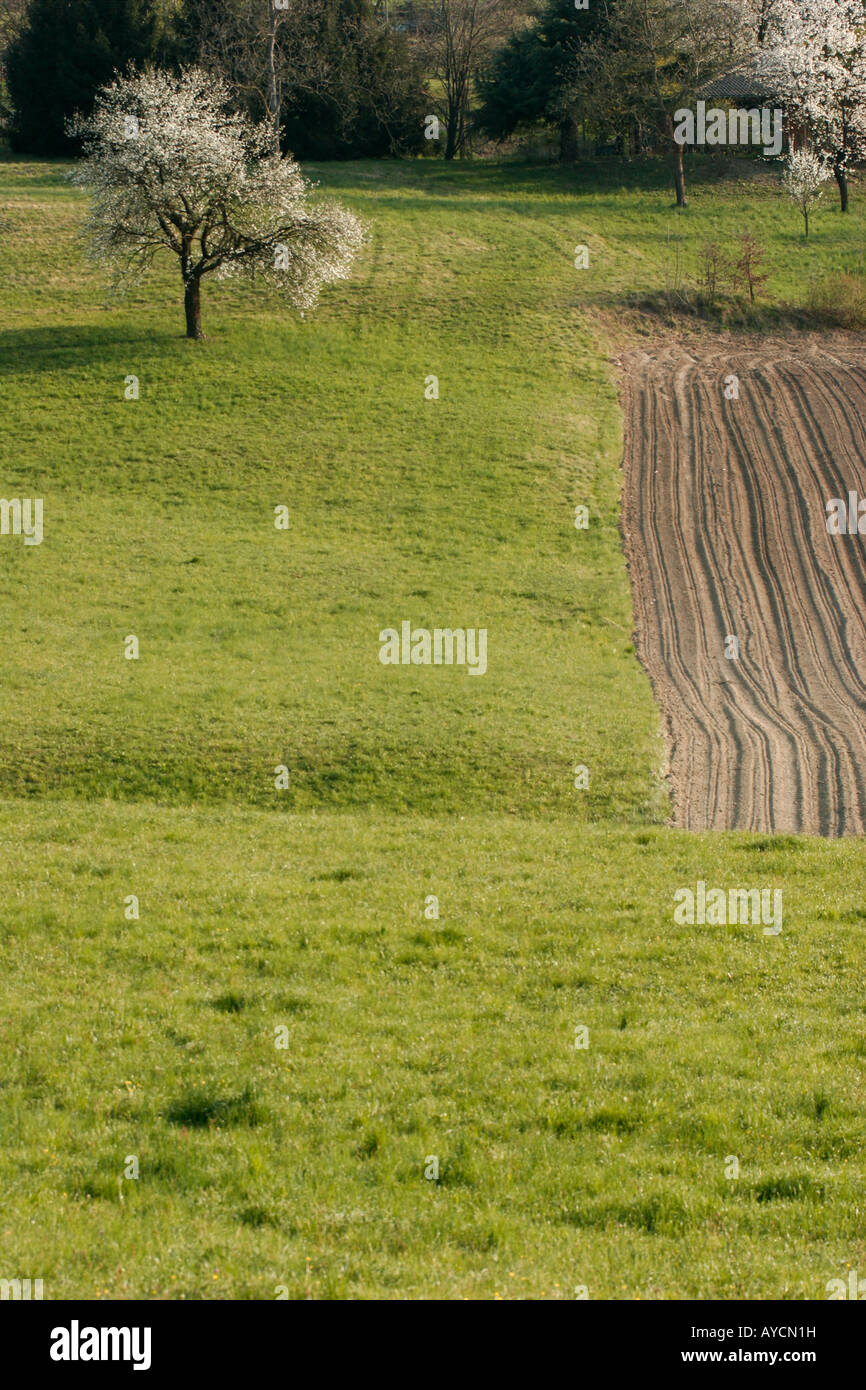 Gepflügte Land in Sciolze. Piemont, Italien Stockfoto