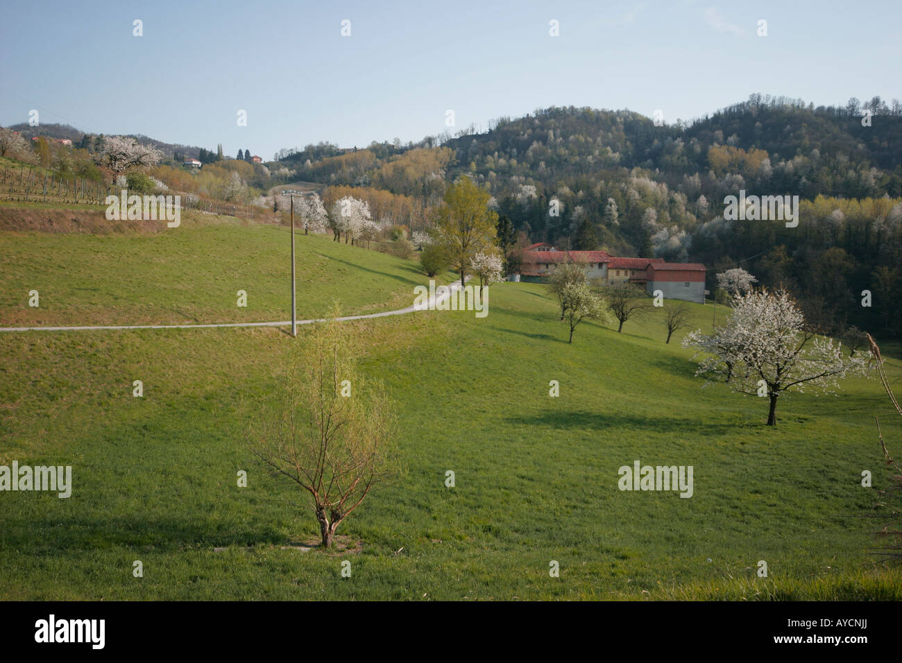 Der Turin Hügellandschaft Stockfoto