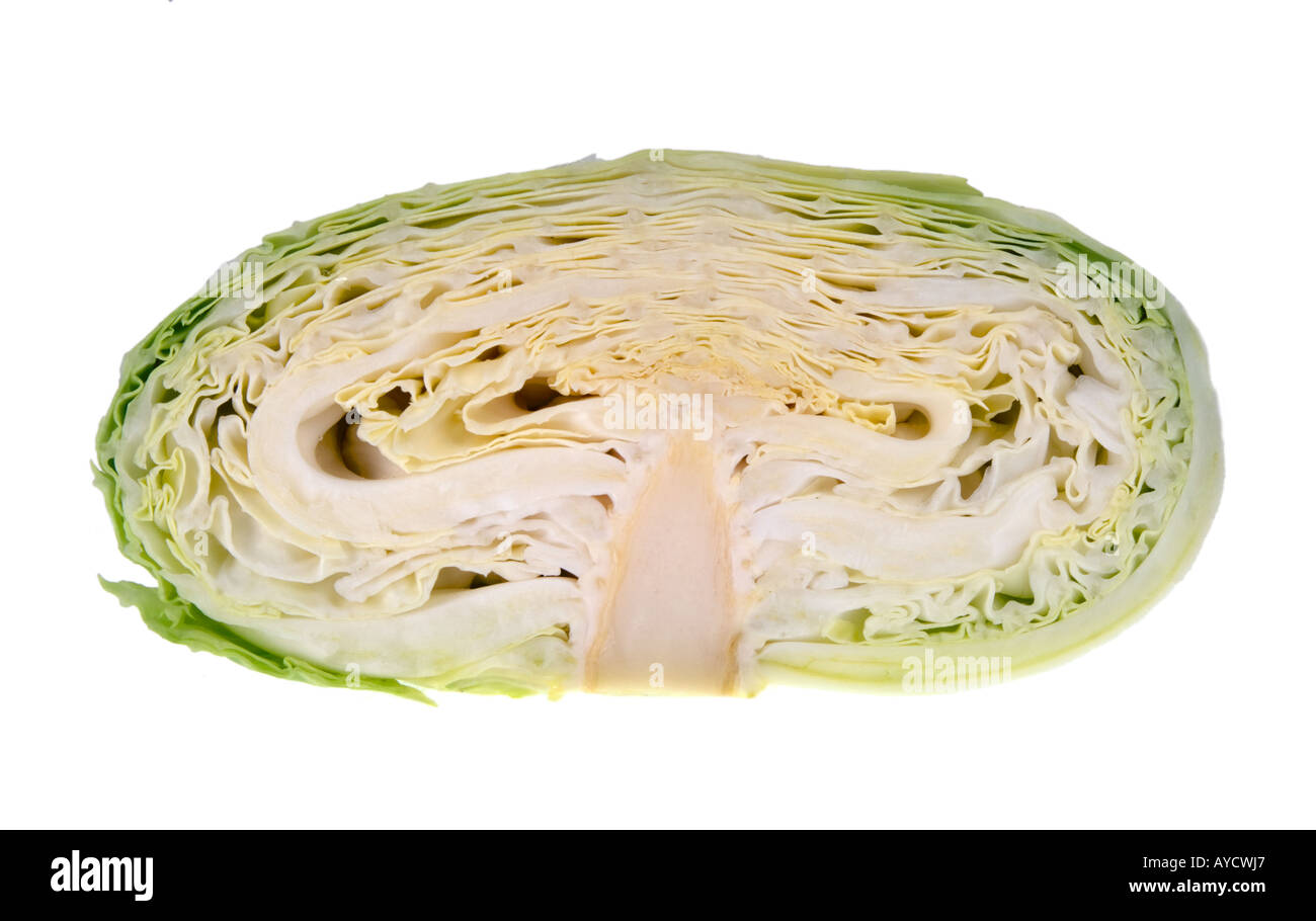 Original primitiven antiken Ihrer archetypischen Deutschen Weißkohl frisch  spitz Kohl KRAUT Salat Gemüse Sauerkraut Stockfotografie - Alamy