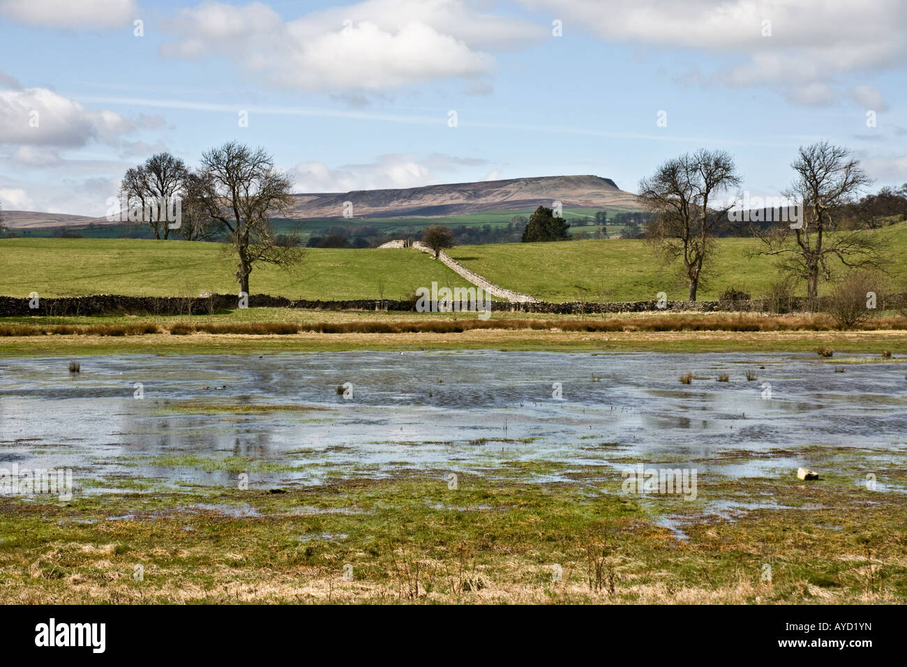 Pinker der Teich in der Nähe von Middleham, Wensleydale, North Yorkshire Stockfoto