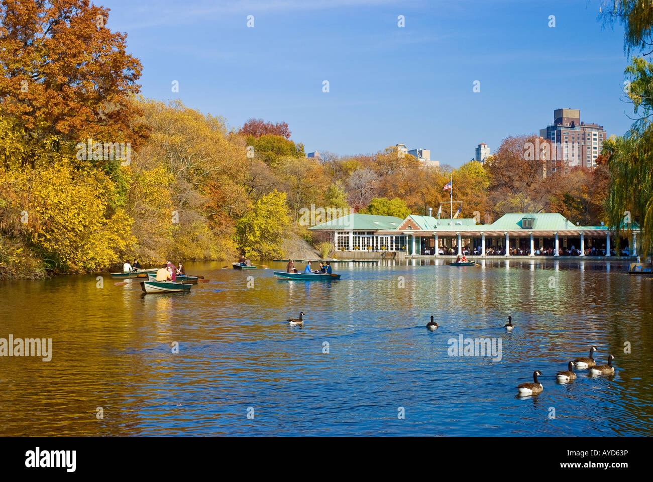 Herbst im Central Park, Rowboating und Ruderboote im Lake Boathouse, New York City Stockfoto