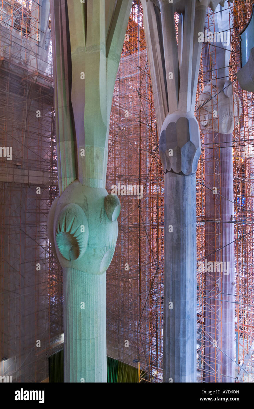 Eine Spalte der Kathedrale Sagrada Familia gegen Baugerüst Stockfoto