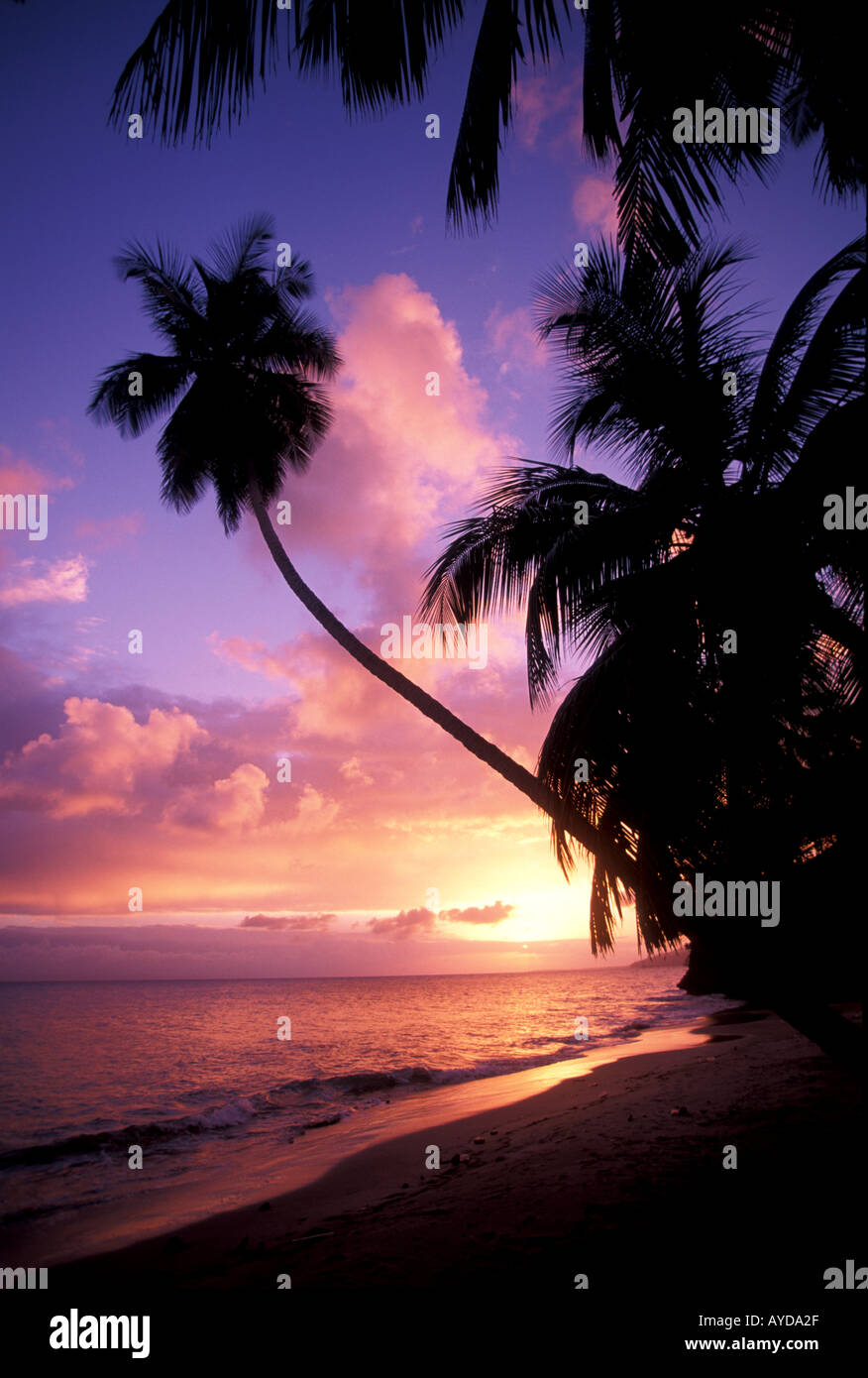 Tropical Beach Sunset perfekte und ideale Paradies Stockfoto