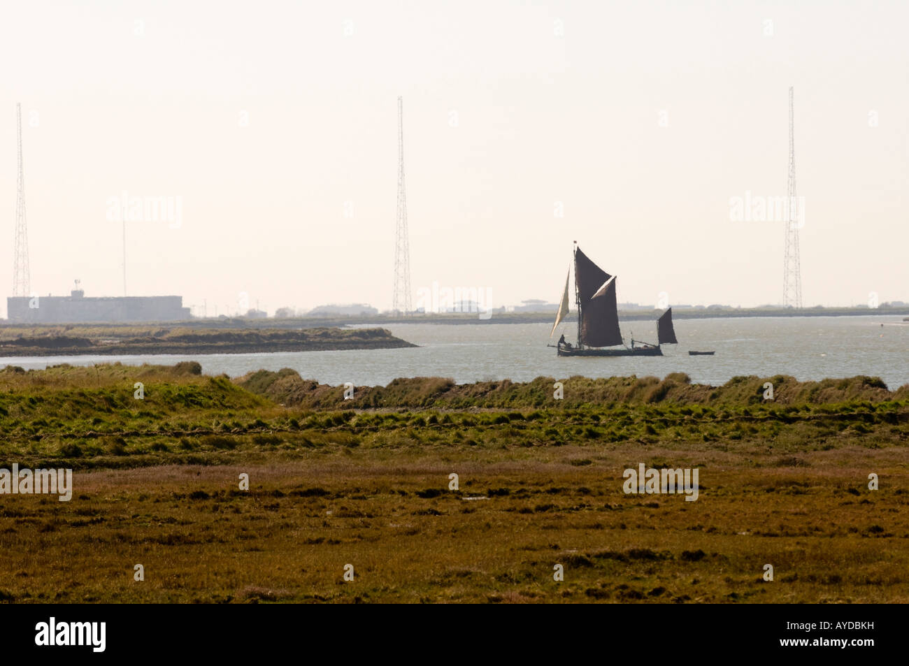 Die Marttelo Turm in Aldeburgh, Suffolk Stockfoto