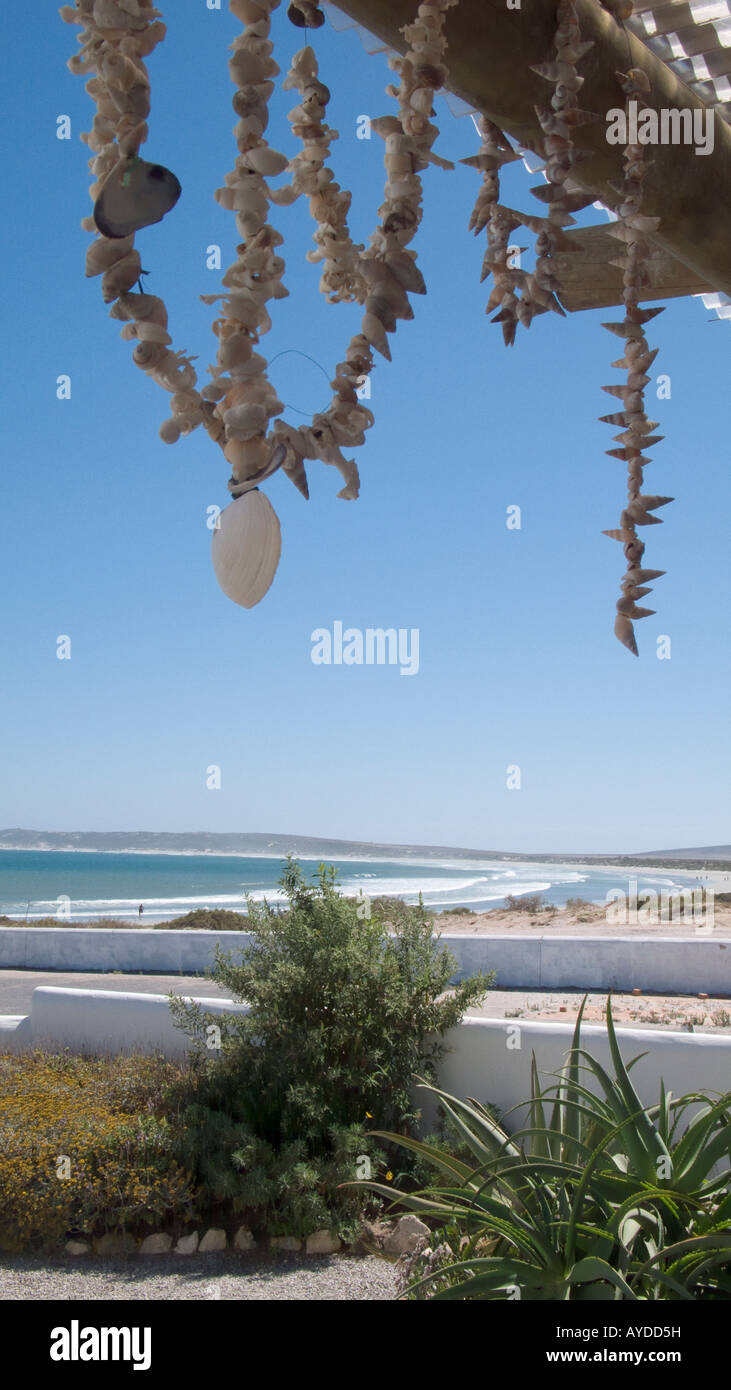 Dekorative Muscheln und Strand in Paternoster auf Atlantik Küste Western Cape, Südafrika Stockfoto