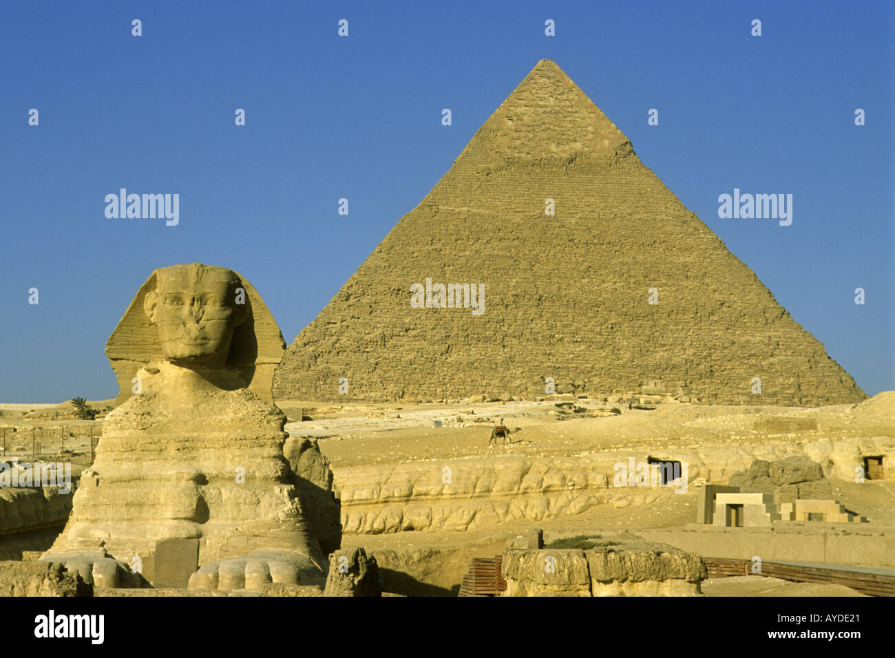 Antike Ägypten Gizeh Sphinx Pyramide des Cephren Stockfoto