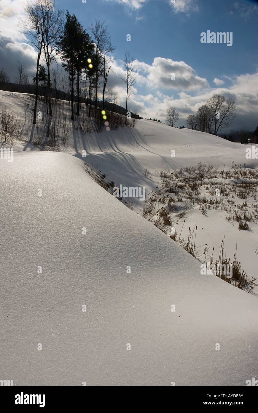 Schneewehe und Wolken und Bäume Vermont USA Stockfoto