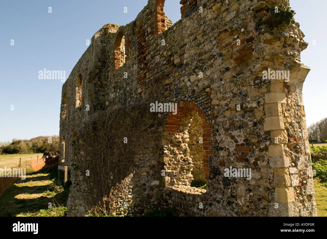 Greyfriars Abbey, ein 13. Jahrhundert Ruine Dunwich, Suffolk Stockfoto