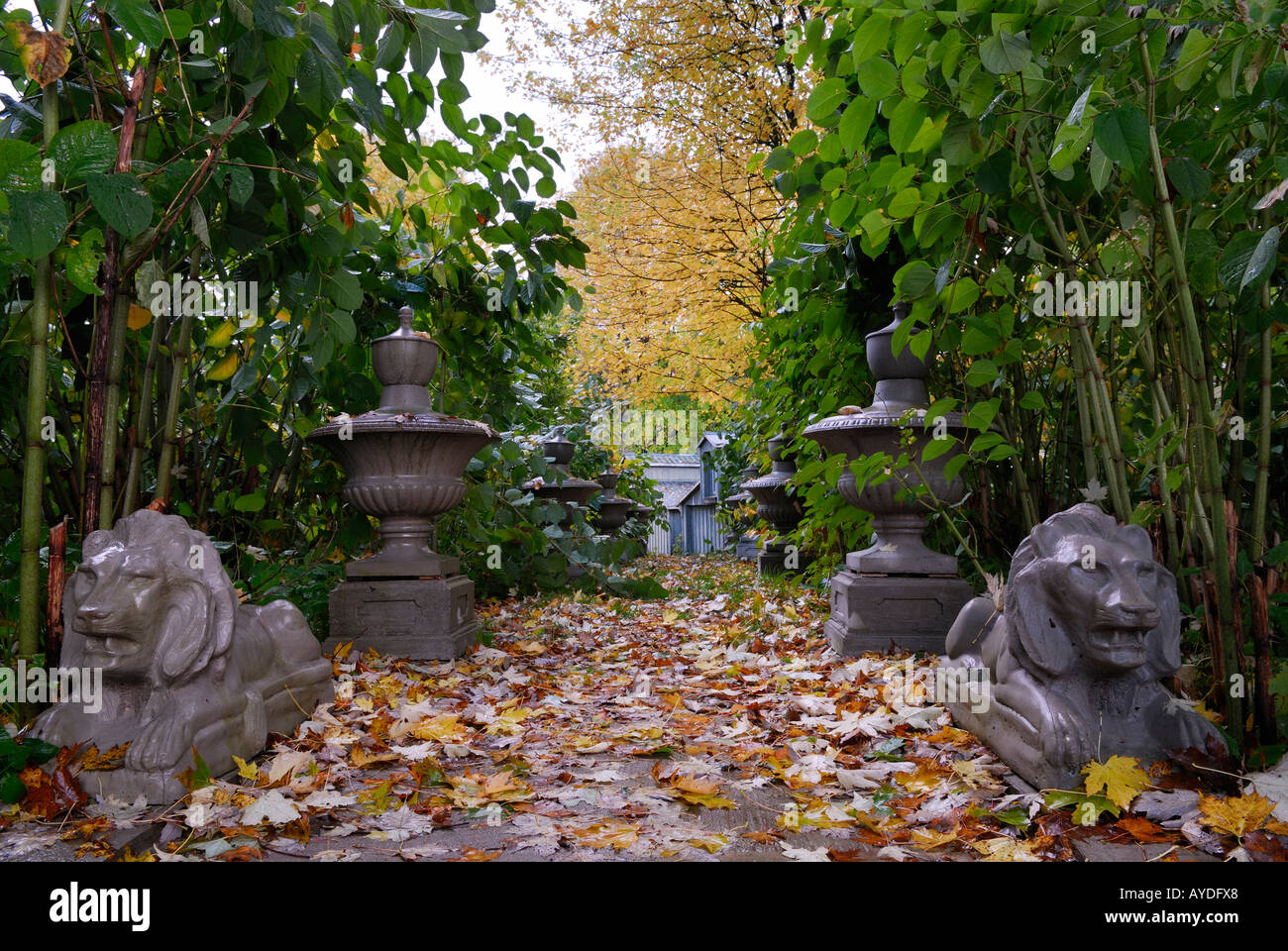 Löwe und steinernen Statuen entlang Blatt bedeckt Pfad mit japanischen Knöterich Polygonum Cuspidatum Ontario Stockfoto