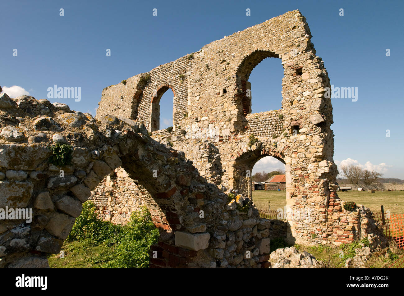 Greyfriars Abbey, ein 13. Jahrhundert Ruine Dunwich, Suffolk Stockfoto