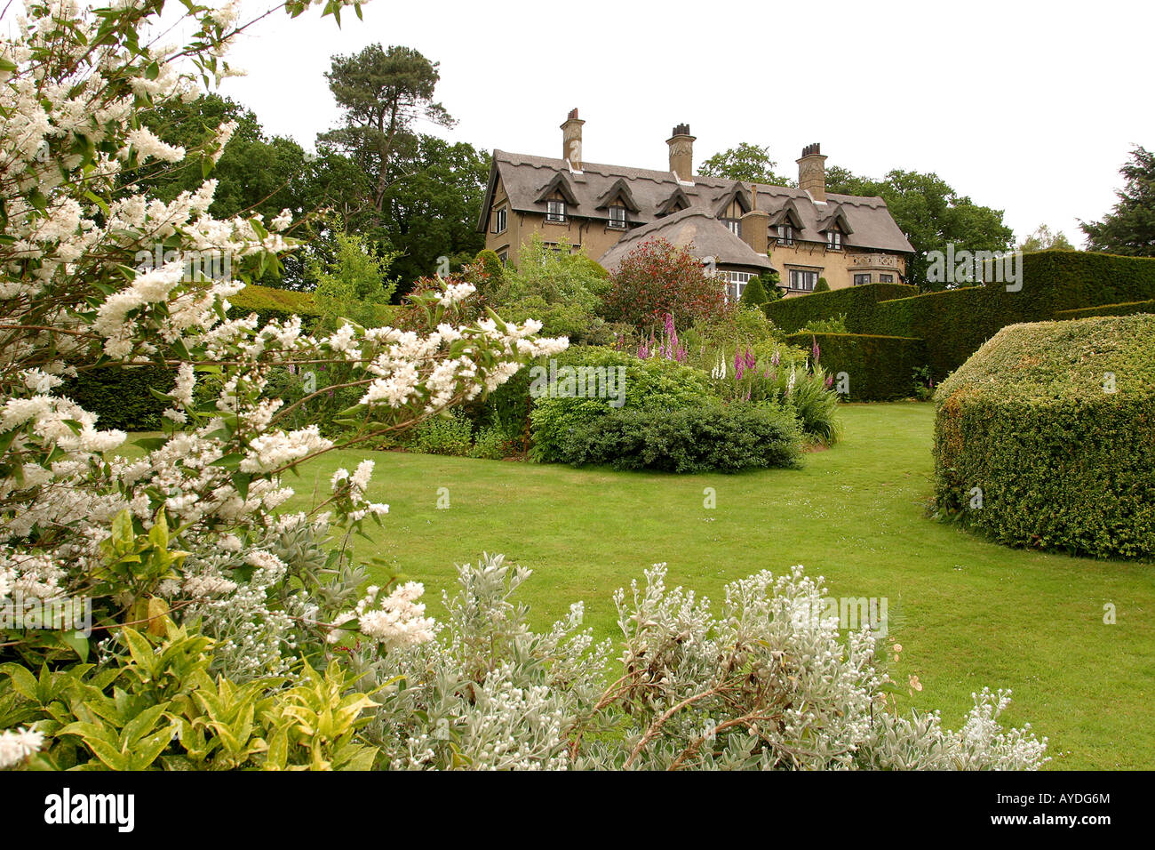 UK Norfolk Broads Ludham wie Hill-Haus und Garten Stockfoto