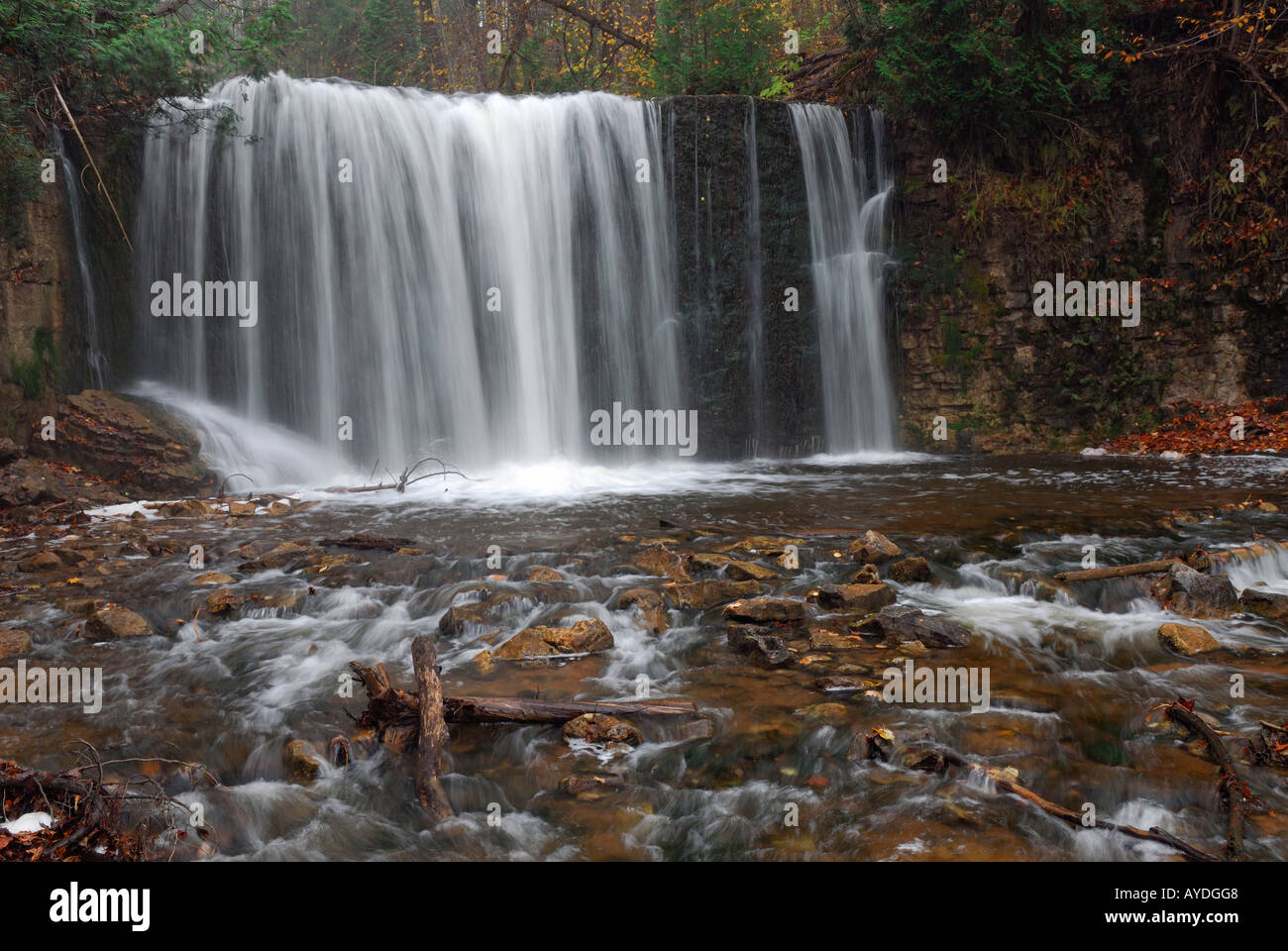 Hoggs Falls Wasserfälle am Fluss Niagara Escarpment Boyne Ontario während eines Schneefalls Stockfoto