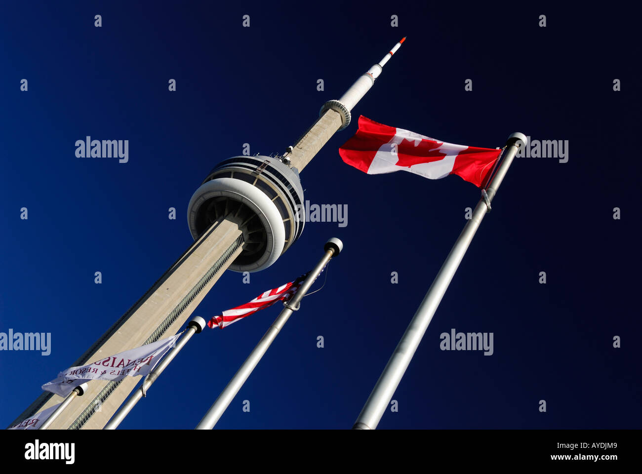 Kanadische und amerikanische Flaggen mit dem CN Tower in Toronto mit dunkelblauen Himmel Stockfoto