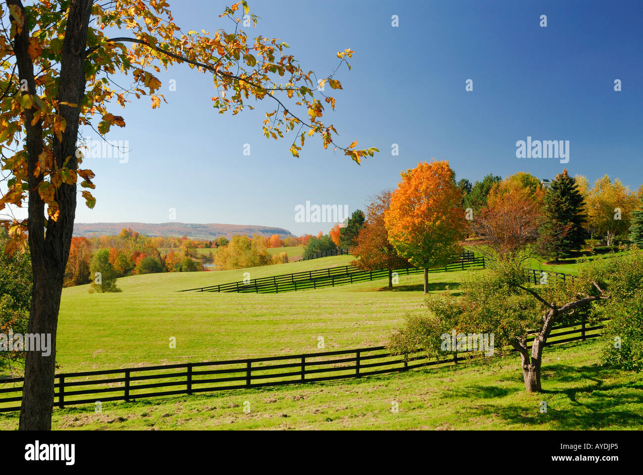 Reiterhof Weide und Gehöft im Herbst mit Niagara Escarpment in Ontario Stockfoto