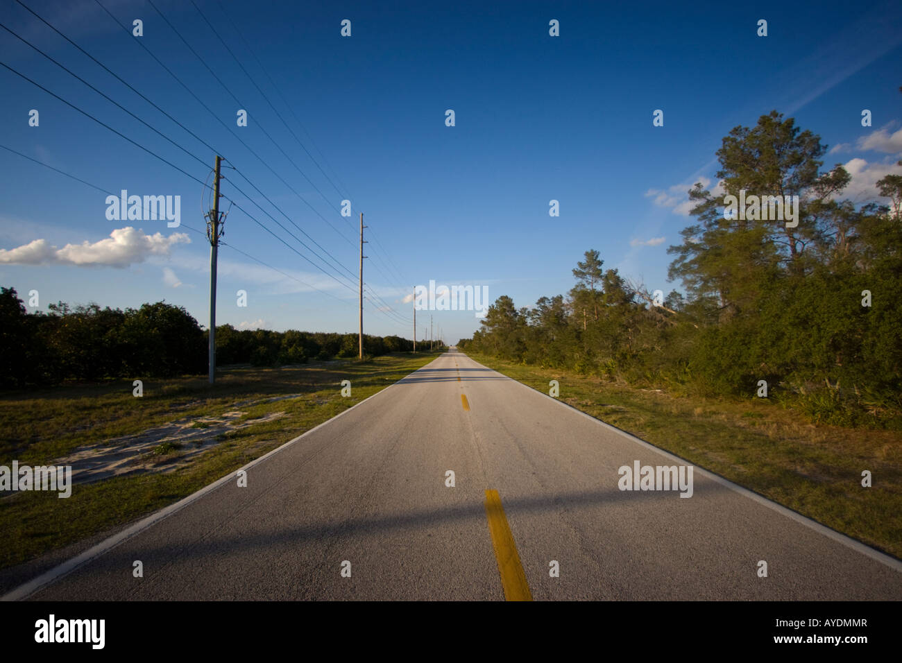 Empty road with a blue sky Stockfoto