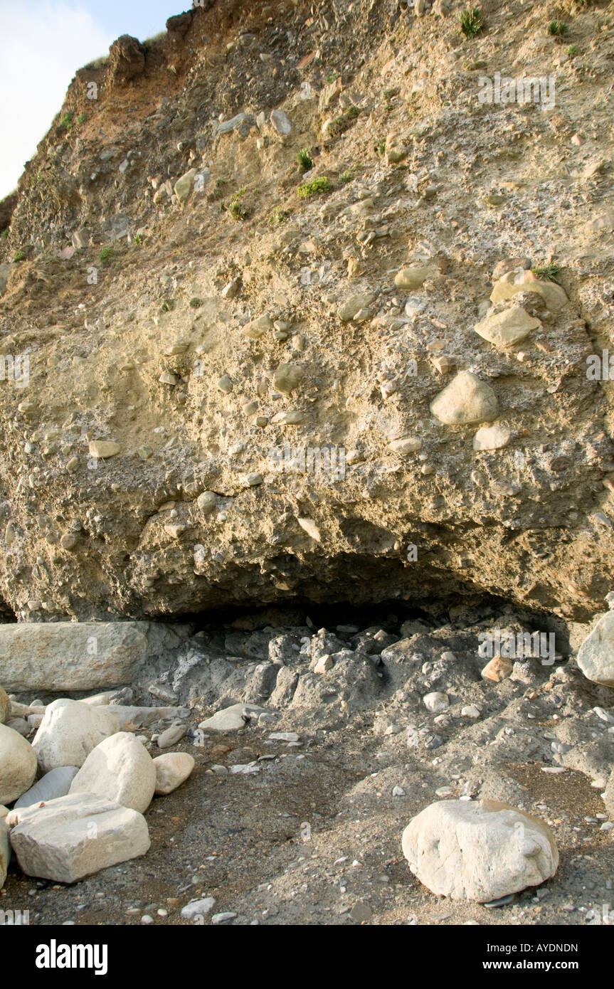 Findlinge, eingebettet in Geschiebemergel ausgesetzt durch Küstenerosion auf der Klippe am Cricieth Strand Gwynedd Nord-Wales Stockfoto