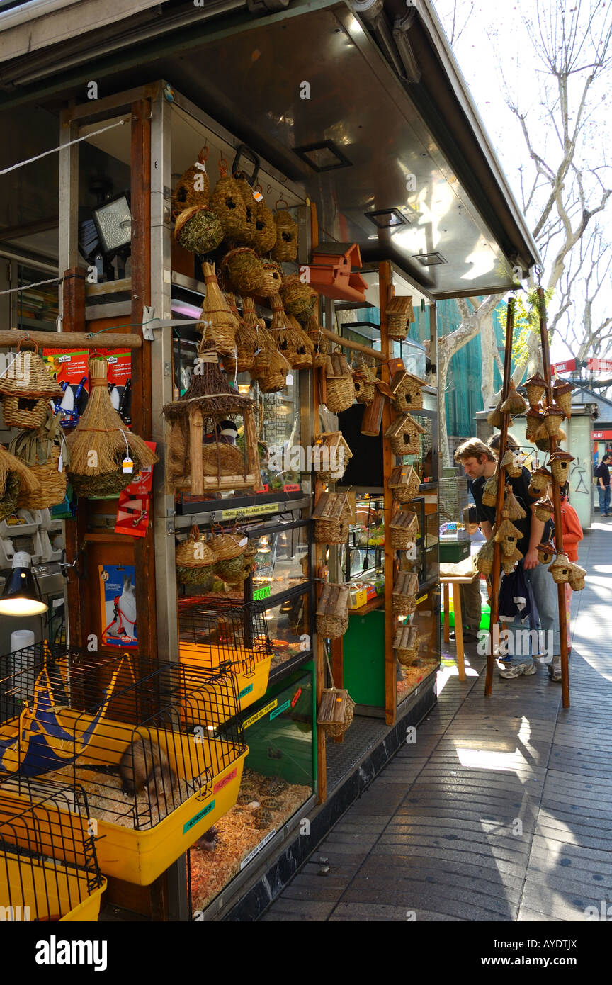Die Geschäfte entlang der historischen La Rambla. Barcelona, Spanien. Stockfoto