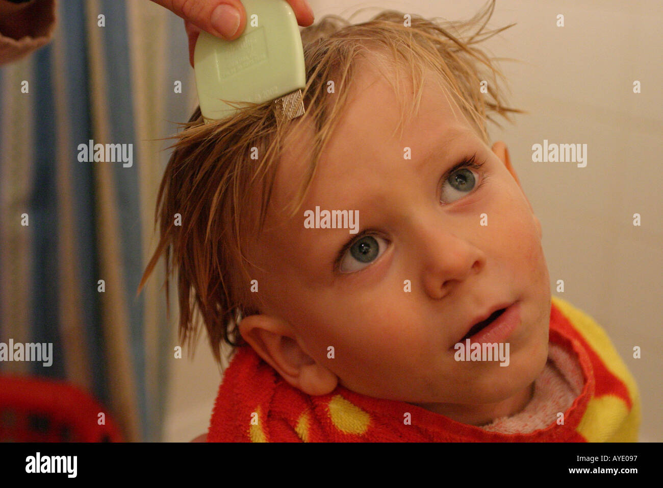 Drei Jahre alter Junge hat seine Haare gekämmt für Läuse von seiner Mutter Stockfoto