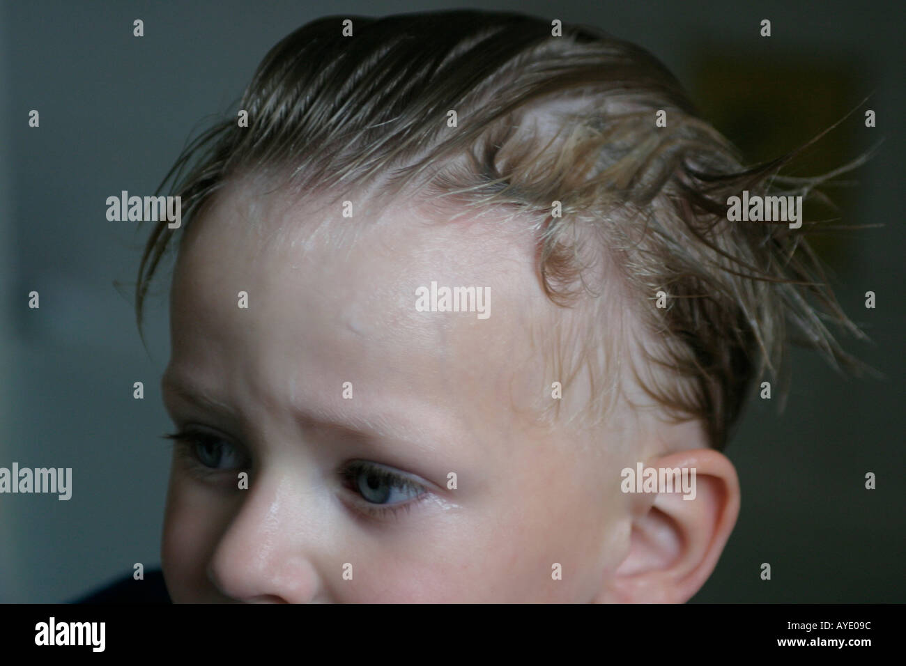 Vier Jahre alter Junge, nachdem er seine Haare gekämmt für Läuse von seiner Mutter Stockfoto