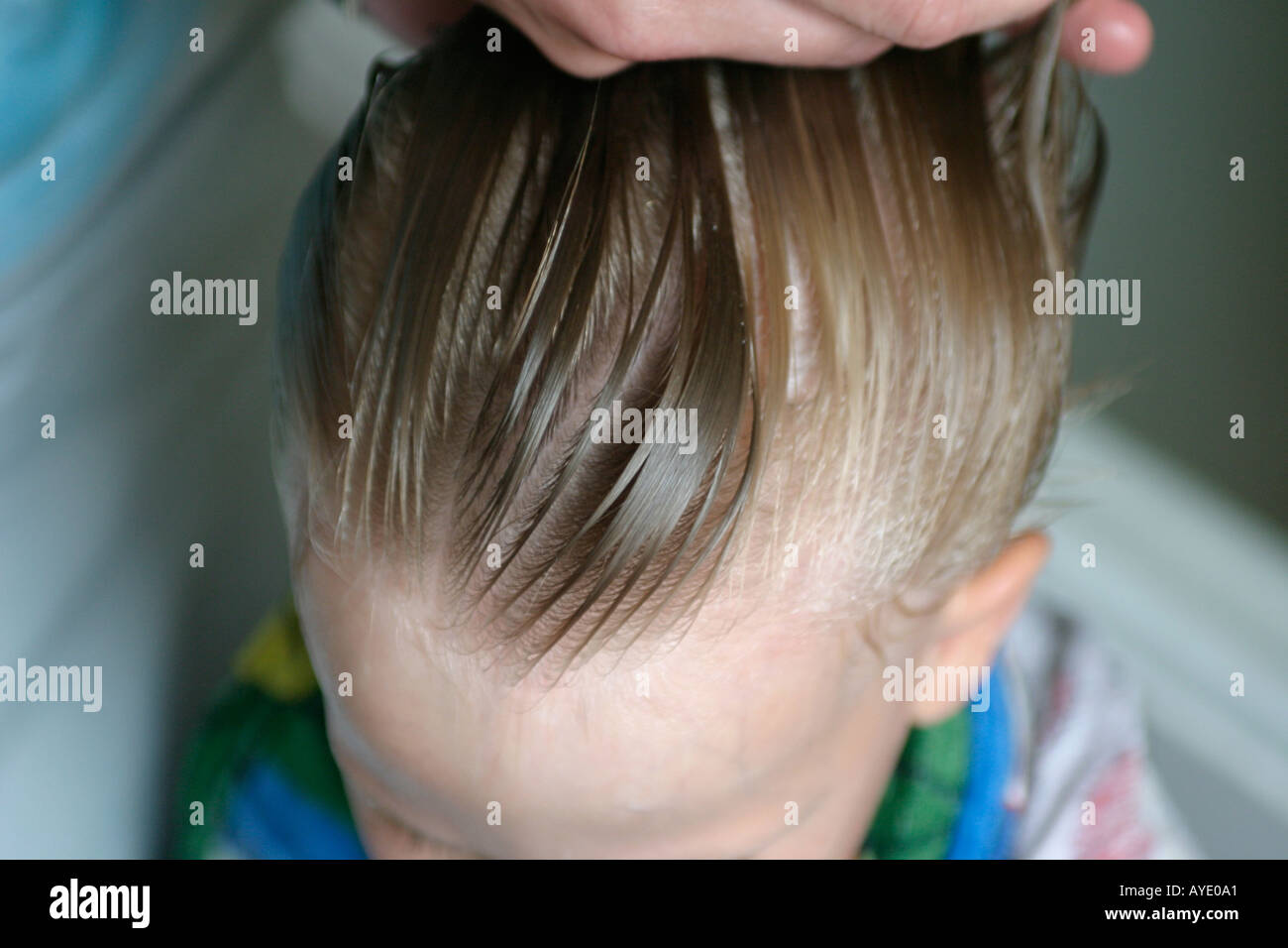 Vier Jahre alter Junge hat seine Haare gekämmt für Läuse von seiner Mutter Stockfoto