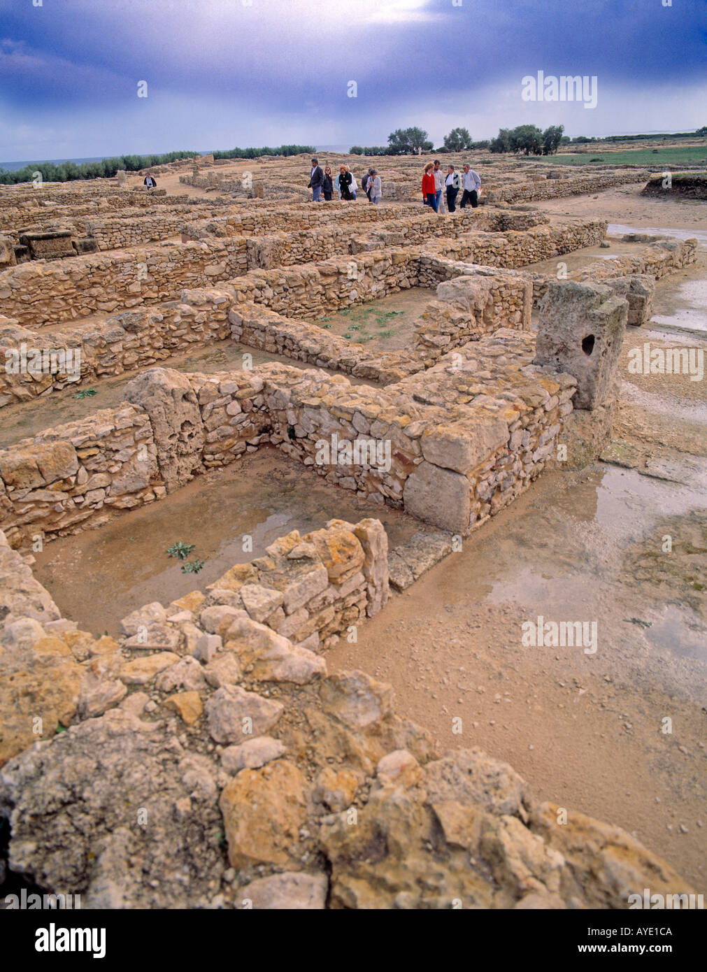 Tunesien-Ruinen der punischen Stadt Kerkouane oder Kerkuane ca. 500 v. Chr.-UNESCO-Welterbe Stockfoto