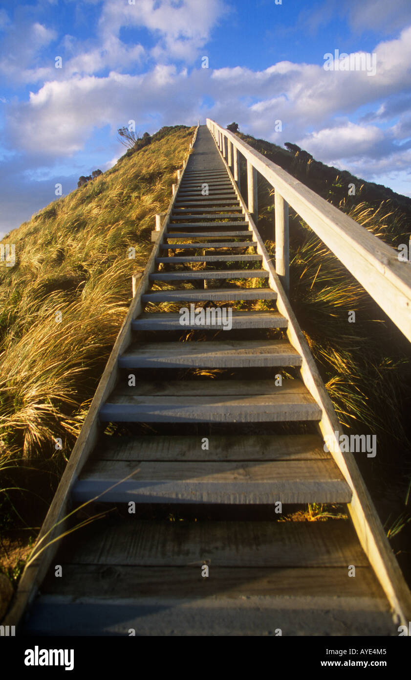 Schritte zum Aussichtspunkt am The Neck, Beitritt, Norden und Süden der Insel, Bruny Island, SE Tasmanien, Australien Stockfoto