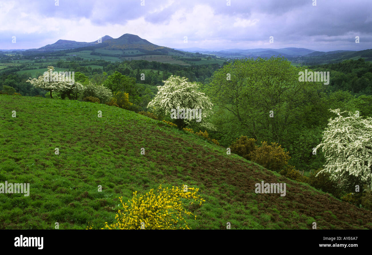 Scotts Blick auf die Eildon Hills Scottish Borders Schottland, Vereinigtes Königreich Stockfoto