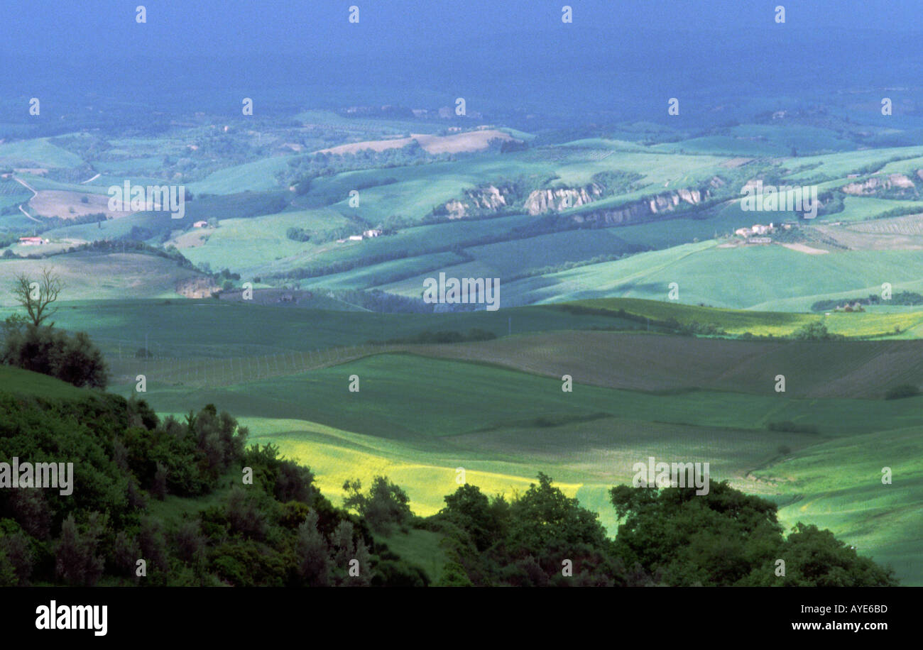 Landschaft bei Montalcino-Toskana-Italien Stockfoto