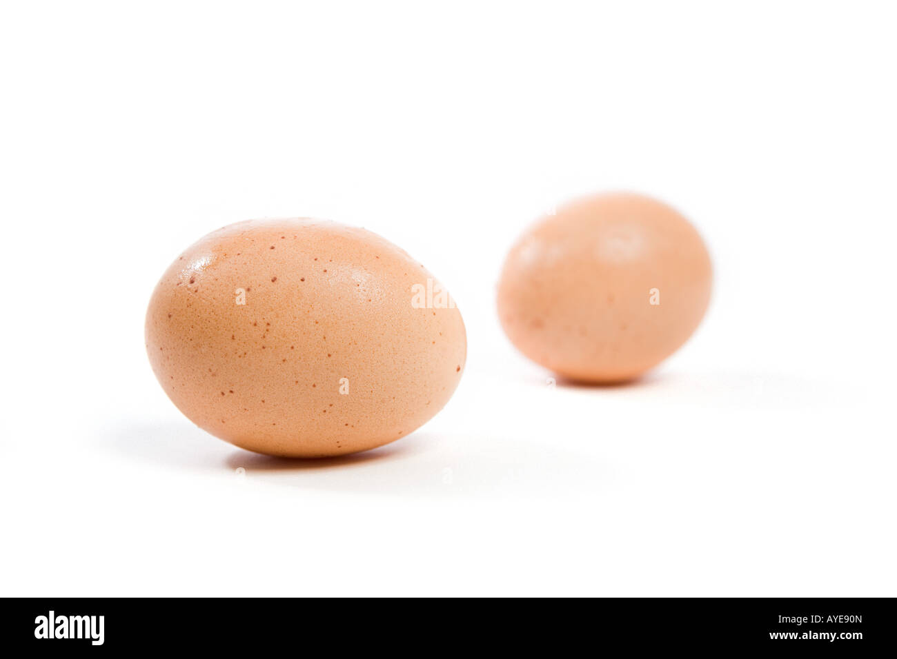 Zwei Eiern Stockfoto