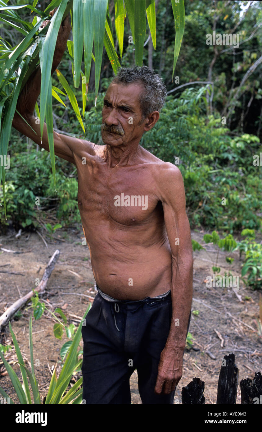 Fluss Amazonas älterer Mann auf dem Land, die er pflegt Stockfoto