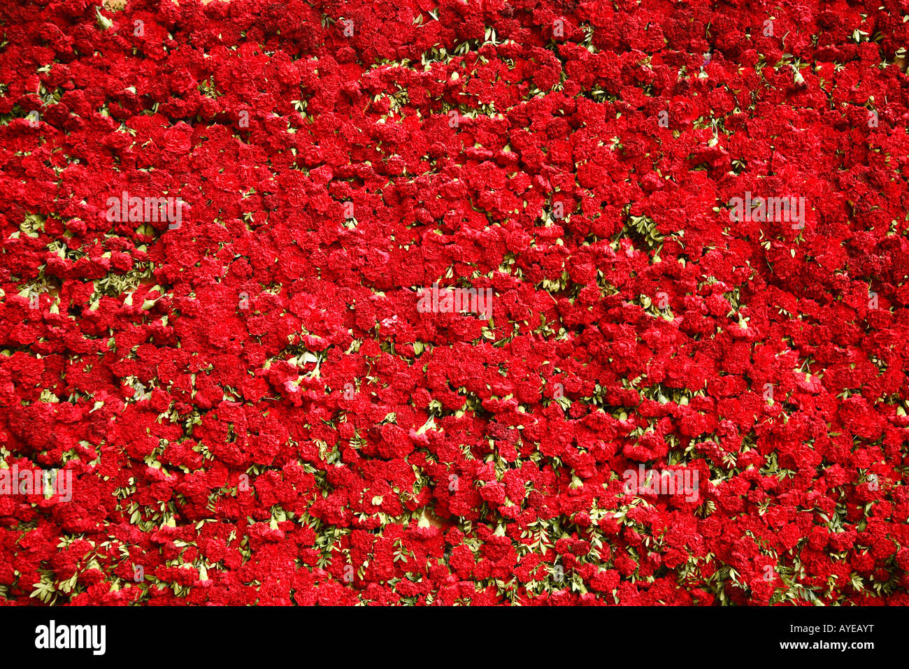 Detail aus L'Ofrena Blumen in Valencia, Spanien. Stockfoto