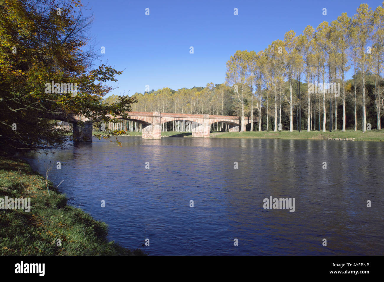 Die Mertoun-Brücke über dem Fluss Tweed, in der Nähe von St Boswells, Scottish Borders, Schottland Stockfoto