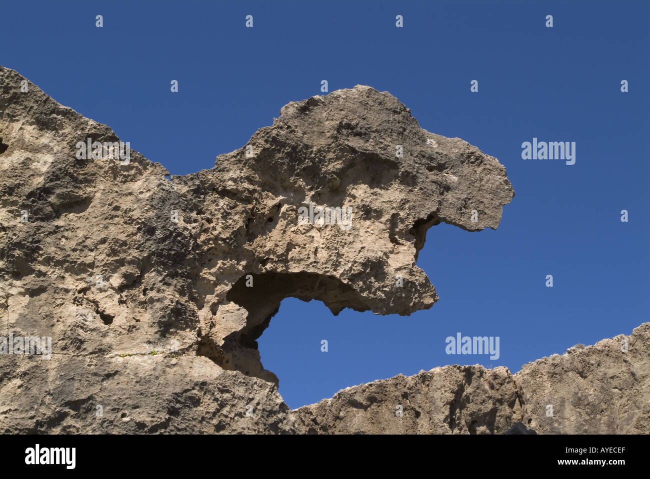 Schildkröte den Kopf Felsen Zypern Stockfoto