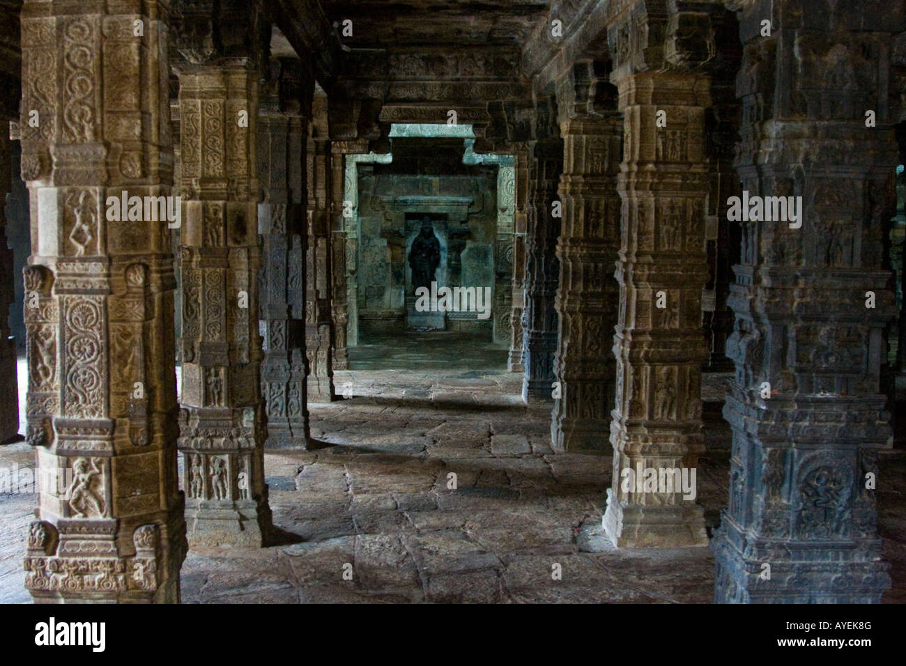 Pilar Hall innen Airavatesvara-Tempel in Darasuram Süd-Indien Stockfoto